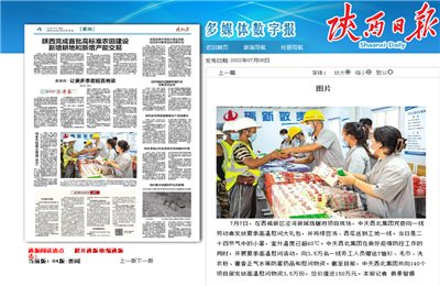 一飞冲天300倍游戏西北集团珑樾府项目高温慰问——《陕西日报》